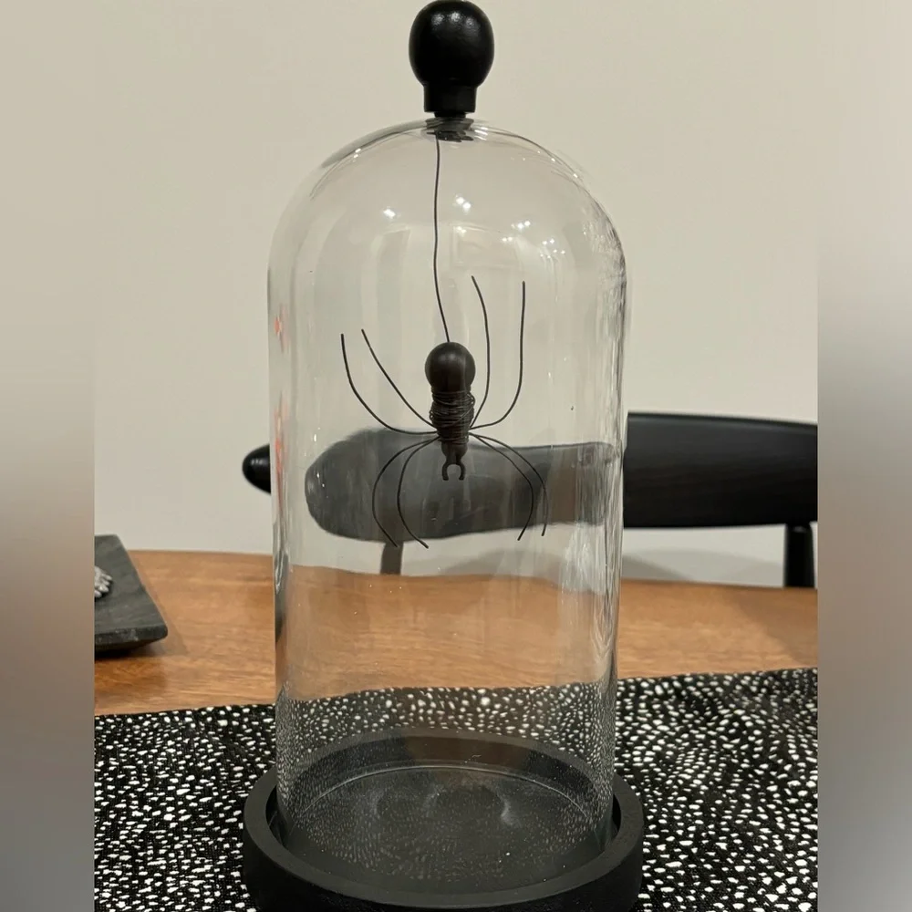 Pottery Barn Halloween Spider 🕷️ cloche
